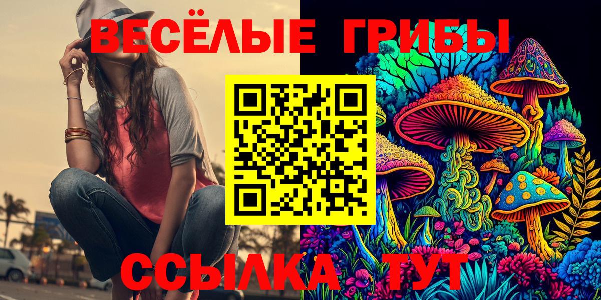 Сергиев Посад  Галлюциногенные грибы MAGIC MUSHROOMS  Галлюциногенные грибы Psilocybe  Вход с VPN 